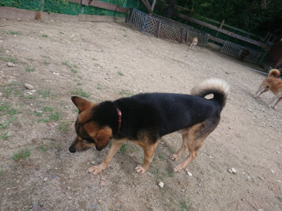 f:id:roukenhome-ann:20190817211442j:plain