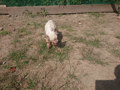 f:id:roukenhome-ann:20190817212653j:plain