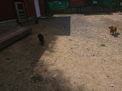 f:id:roukenhome-ann:20190817212709j:plain