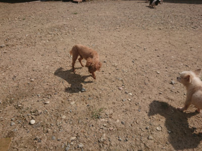 f:id:roukenhome-ann:20190817212719j:plain