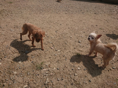 f:id:roukenhome-ann:20190817212759j:plain