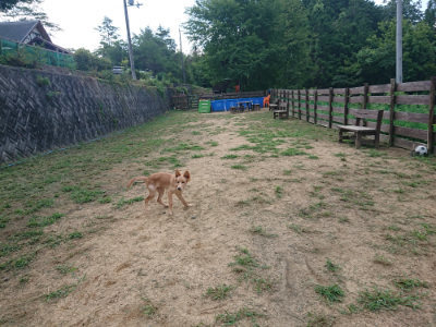 f:id:roukenhome-ann:20190817212909j:plain