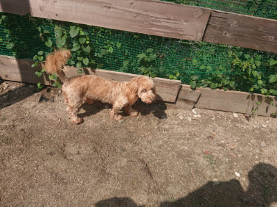 f:id:roukenhome-ann:20190817212931j:plain