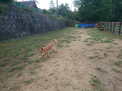 f:id:roukenhome-ann:20190817212939j:plain