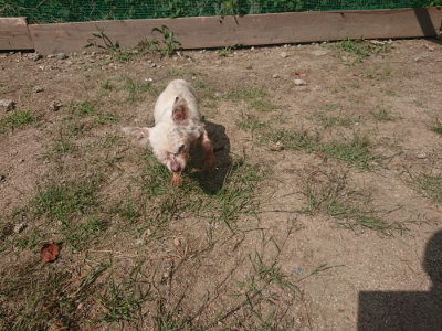 f:id:roukenhome-ann:20190817212958j:plain