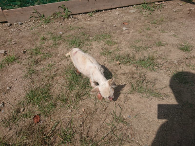 f:id:roukenhome-ann:20190817213005j:plain