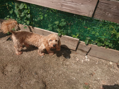 f:id:roukenhome-ann:20190817213012j:plain