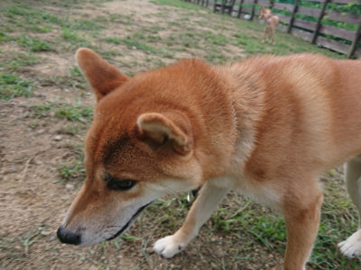f:id:roukenhome-ann:20190817213022j:plain
