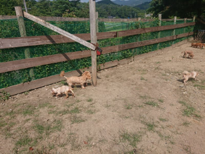 f:id:roukenhome-ann:20190817213028j:plain