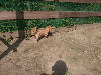 f:id:roukenhome-ann:20190817213044j:plain