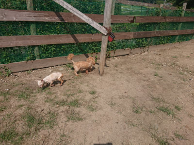 f:id:roukenhome-ann:20190817213056j:plain