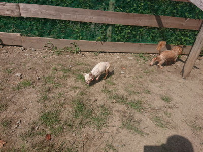 f:id:roukenhome-ann:20190817213101j:plain