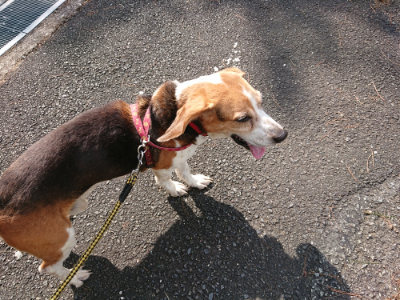 f:id:roukenhome-ann:20190818051224j:plain