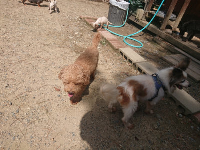 f:id:roukenhome-ann:20190818051243j:plain