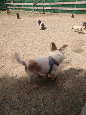 f:id:roukenhome-ann:20190818051247j:plain