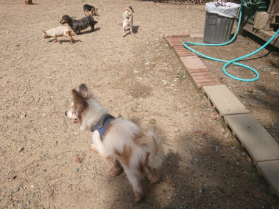 f:id:roukenhome-ann:20190818051252j:plain