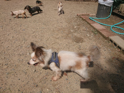 f:id:roukenhome-ann:20190818051257j:plain