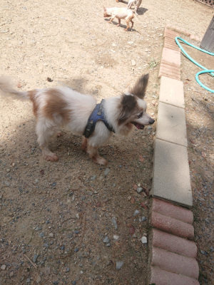 f:id:roukenhome-ann:20190818051307j:plain