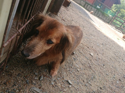 f:id:roukenhome-ann:20190818051332j:plain