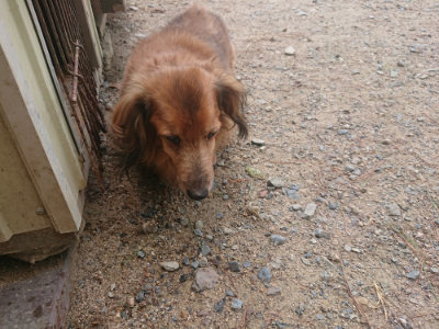 f:id:roukenhome-ann:20190818051336j:plain