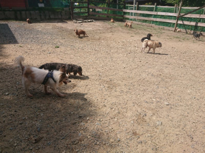 f:id:roukenhome-ann:20190818051341j:plain