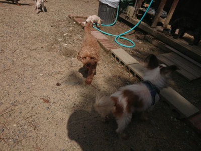 f:id:roukenhome-ann:20190818051409j:plain