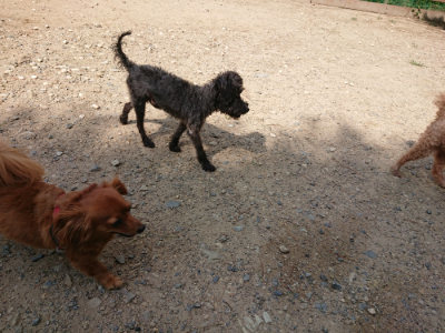 f:id:roukenhome-ann:20190818051829j:plain