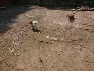 f:id:roukenhome-ann:20190818051846j:plain