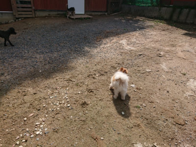 f:id:roukenhome-ann:20190818051924j:plain