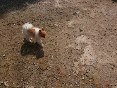 f:id:roukenhome-ann:20190818051930j:plain
