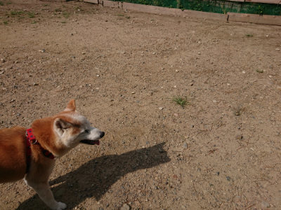 f:id:roukenhome-ann:20190818052044j:plain