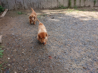 f:id:roukenhome-ann:20190818052121j:plain