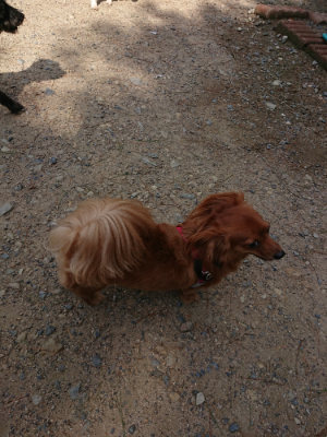 f:id:roukenhome-ann:20190818052442j:plain