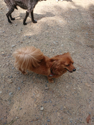f:id:roukenhome-ann:20190818052505j:plain