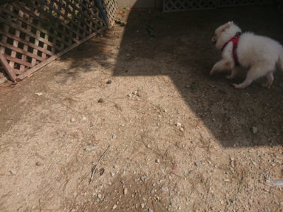 f:id:roukenhome-ann:20190818052514j:plain
