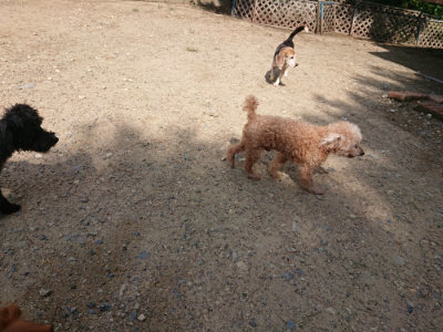 f:id:roukenhome-ann:20190818052523j:plain