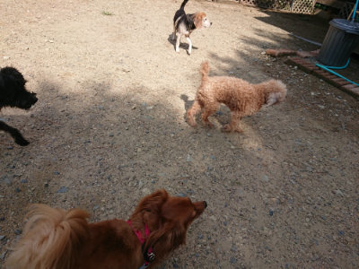 f:id:roukenhome-ann:20190818052529j:plain