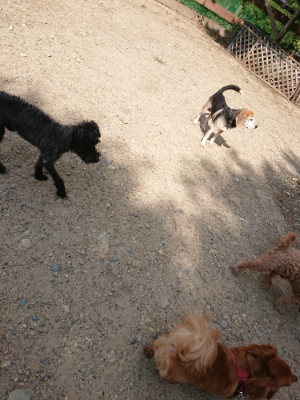 f:id:roukenhome-ann:20190818052620j:plain