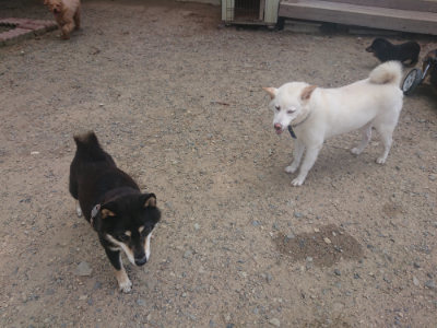 f:id:roukenhome-ann:20190818052633j:plain