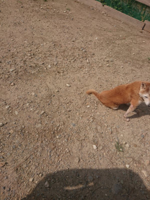 f:id:roukenhome-ann:20190818052701j:plain