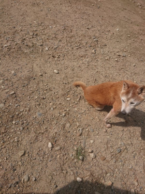 f:id:roukenhome-ann:20190818052706j:plain