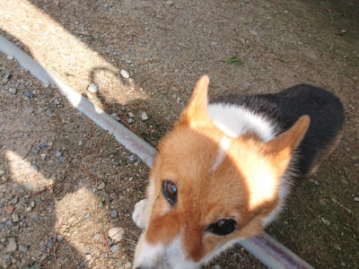 f:id:roukenhome-ann:20190818052817j:plain