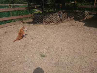 f:id:roukenhome-ann:20190818052837j:plain