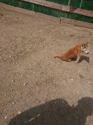 f:id:roukenhome-ann:20190818052918j:plain