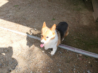 f:id:roukenhome-ann:20190818052950j:plain