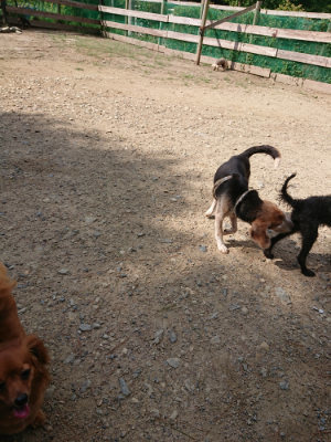 f:id:roukenhome-ann:20190818053116j:plain