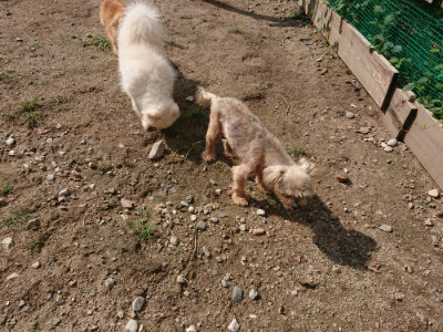 f:id:roukenhome-ann:20190818053123j:plain
