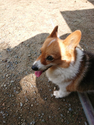 f:id:roukenhome-ann:20190818053218j:plain