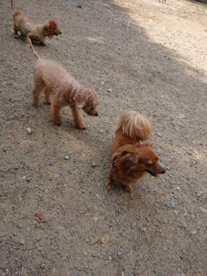 f:id:roukenhome-ann:20190818053237j:plain
