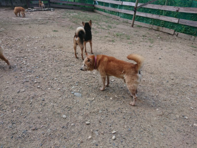 f:id:roukenhome-ann:20190818053241j:plain